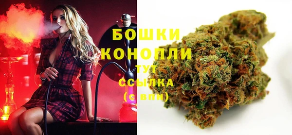 сатива Кулебаки