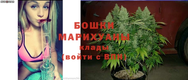 прущие грибы Куйбышев