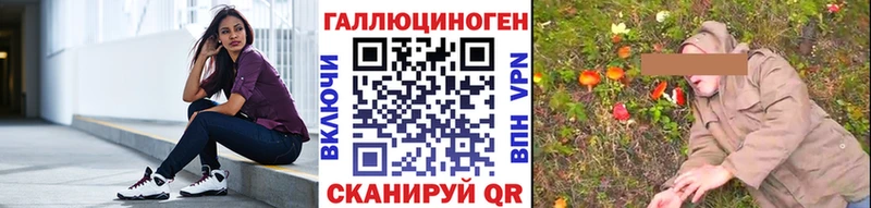 Галлюциногенные грибы Psilocybe купить наркотики сайты Малгобек
