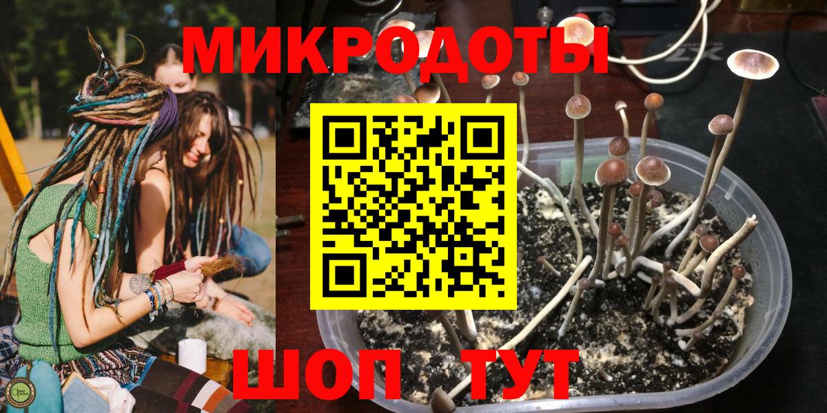 Псилоцибиновые грибы Magic Shrooms  Малгобек 