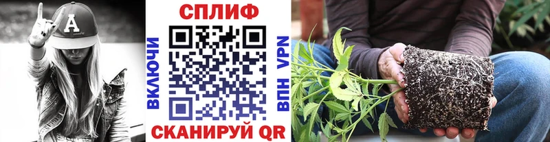 Конопля THC 21%  Малгобек 
